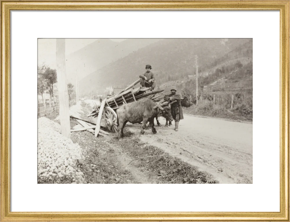 The Result of Meeting a Motor. - Image 15