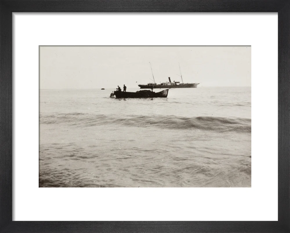 The Method of Landing Bullocks which are taken from the ship in a boat and pushed overboard. When some way from the shore, they usually swim to the land, but not always. - Image 3