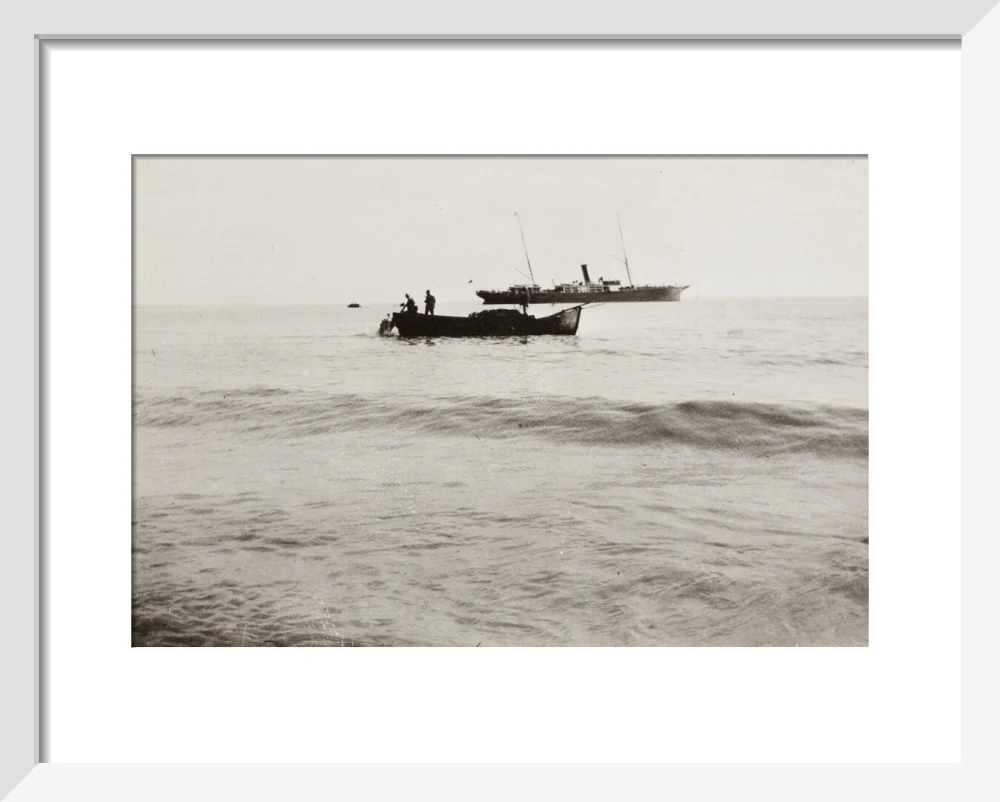 The Method of Landing Bullocks which are taken from the ship in a boat and pushed overboard. When some way from the shore, they usually swim to the land, but not always. - Image 37