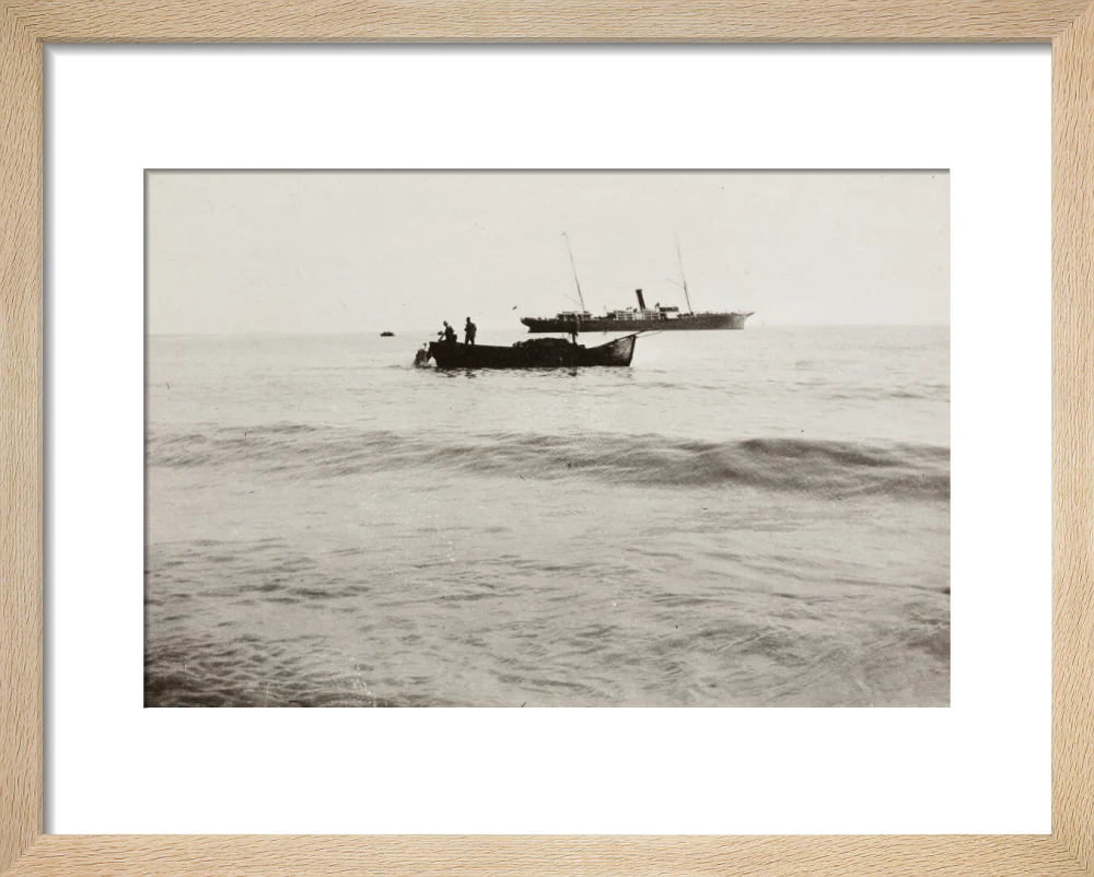 The Method of Landing Bullocks which are taken from the ship in a boat and pushed overboard. When some way from the shore, they usually swim to the land, but not always. - Image 39