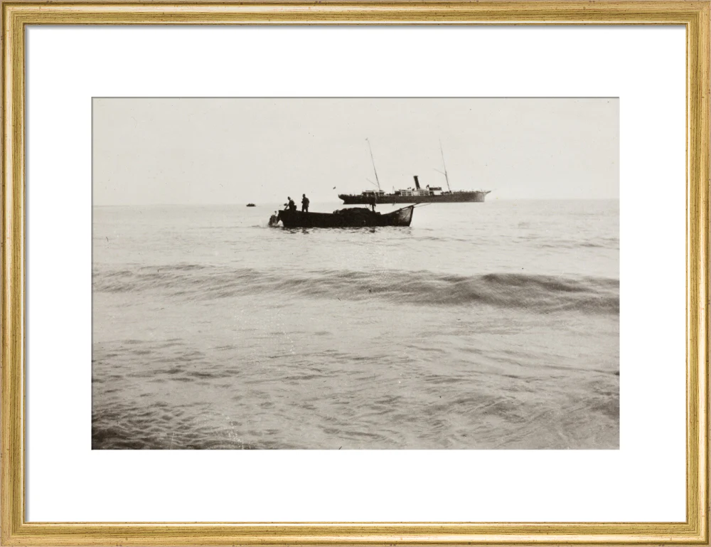 The Method of Landing Bullocks which are taken from the ship in a boat and pushed overboard. When some way from the shore, they usually swim to the land, but not always. - Image 48