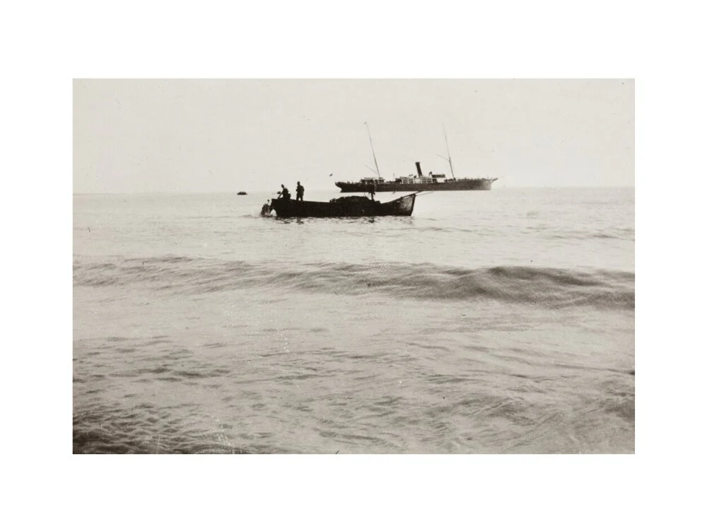 The Method of Landing Bullocks which are taken from the ship in a boat and pushed overboard. When some way from the shore, they usually swim to the land, but not always. - Image 50