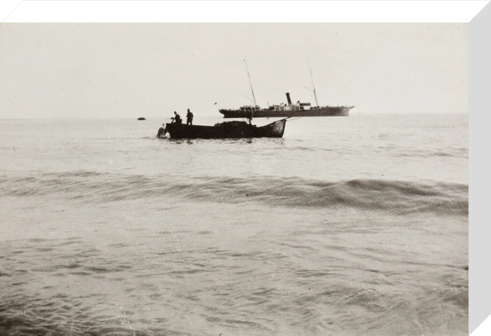 The Method of Landing Bullocks which are taken from the ship in a boat and pushed overboard. When some way from the shore, they usually swim to the land, but not always. - Image 65