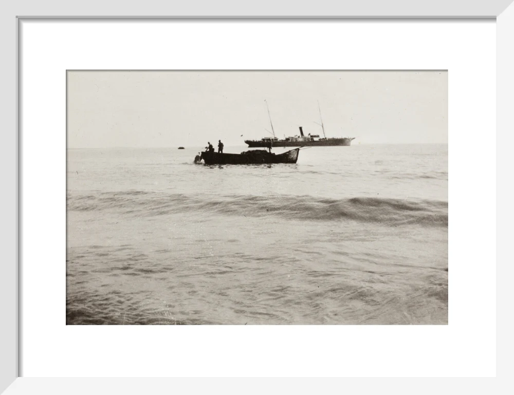 The Method of Landing Bullocks which are taken from the ship in a boat and pushed overboard. When some way from the shore, they usually swim to the land, but not always. - Image 9