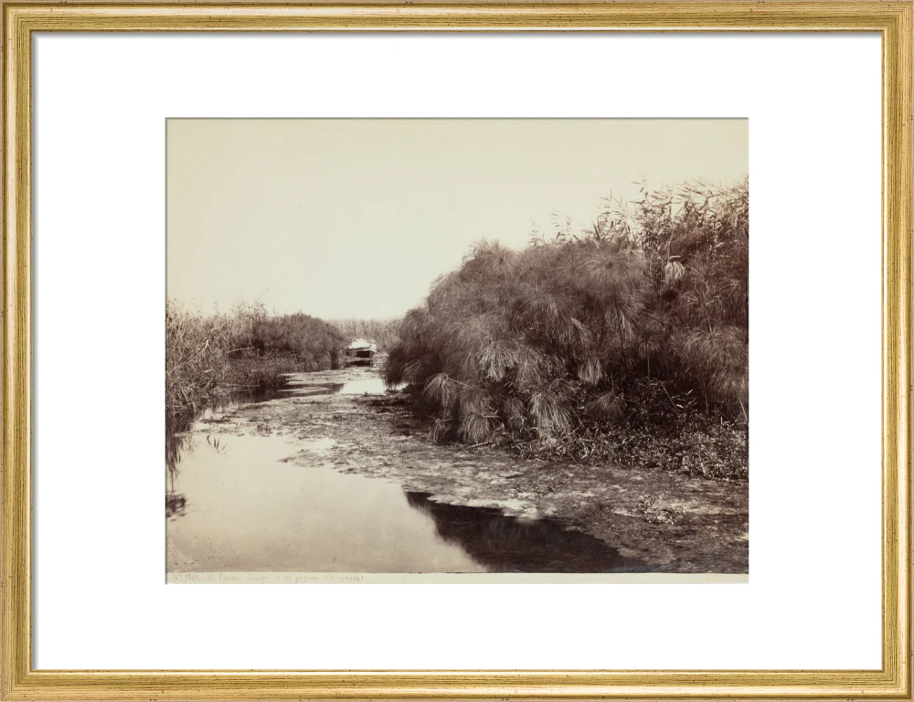 'The River Anapo and Papyrus', Syracuse, Sicily, Italy, c 1850-1900. - Image 15