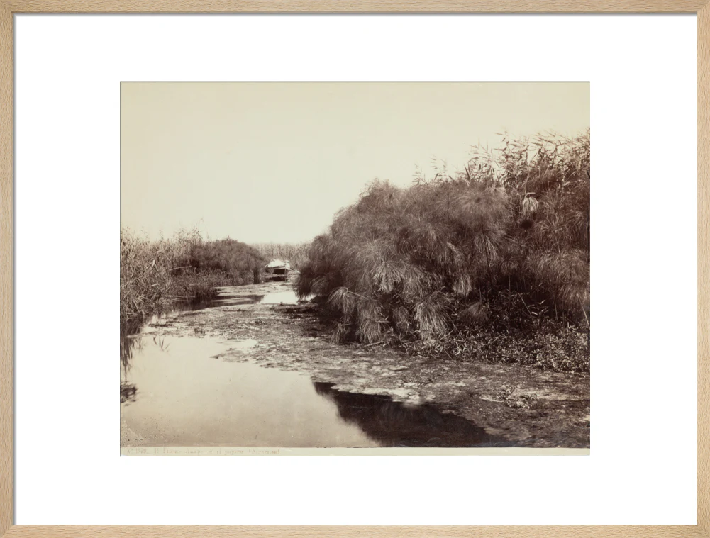 'The River Anapo and Papyrus', Syracuse, Sicily, Italy, c 1850-1900. - Image 21