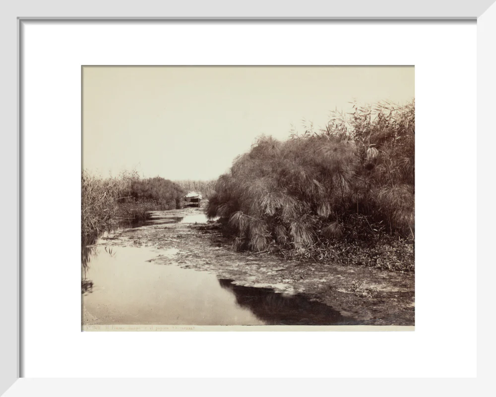 'The River Anapo and Papyrus', Syracuse, Sicily, Italy, c 1850-1900. - Image 4