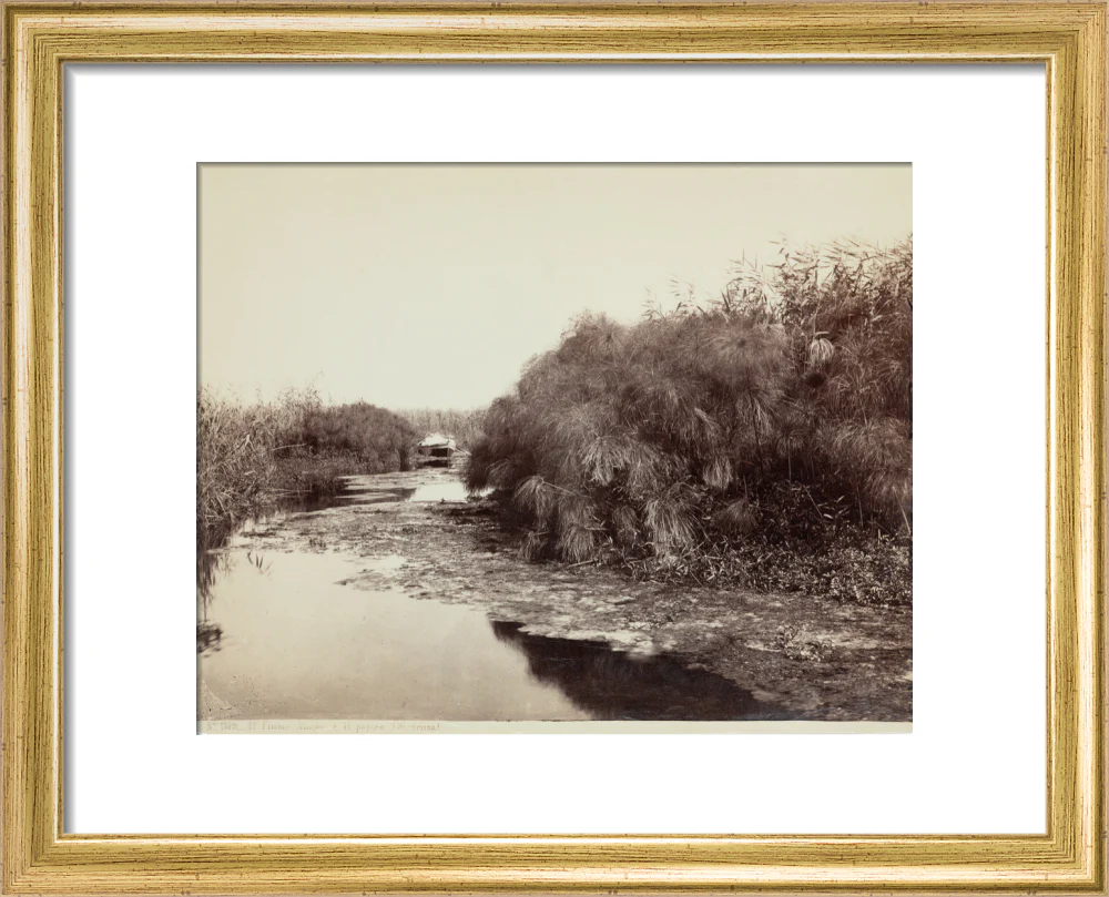 'The River Anapo and Papyrus', Syracuse, Sicily, Italy, c 1850-1900. - Image 5