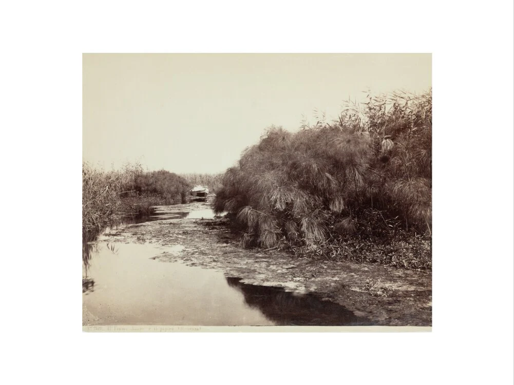 'The River Anapo and Papyrus', Syracuse, Sicily, Italy, c 1850-1900. - Image 55