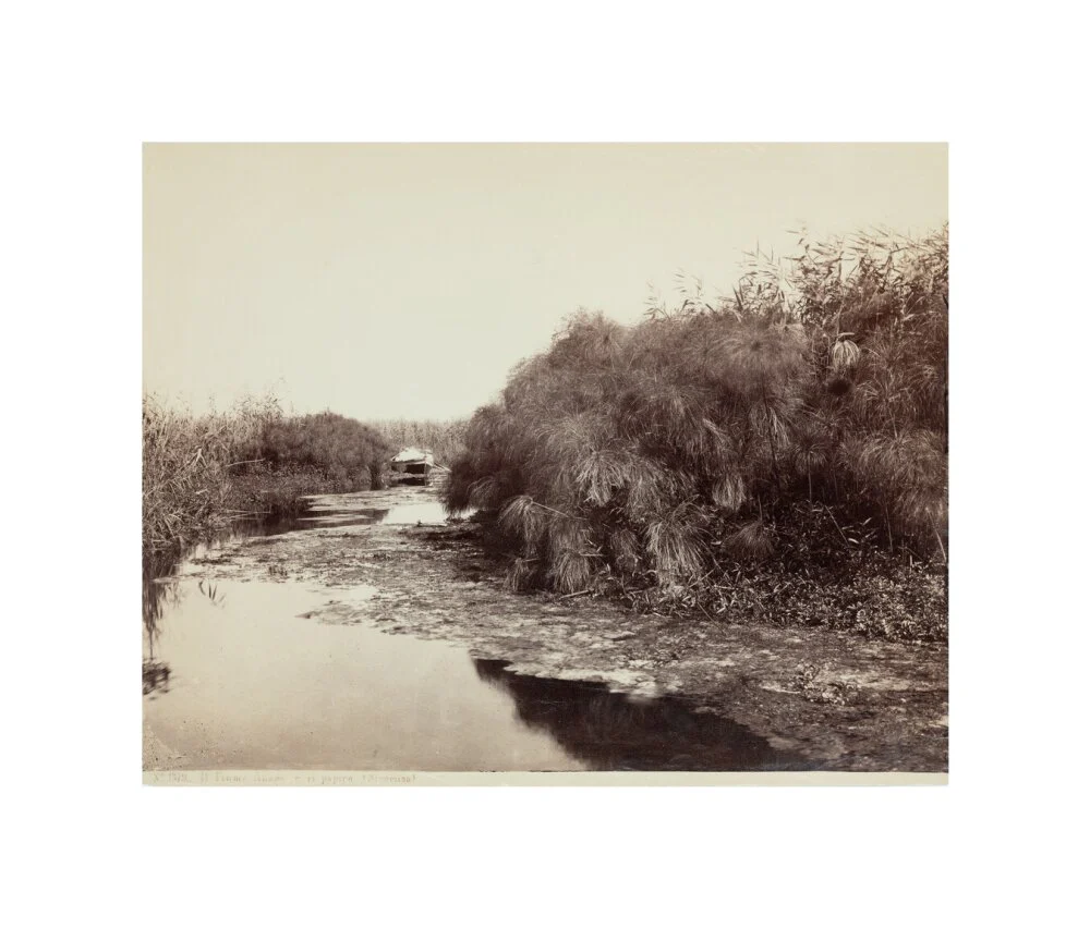 'The River Anapo and Papyrus', Syracuse, Sicily, Italy, c 1850-1900. - Image 60