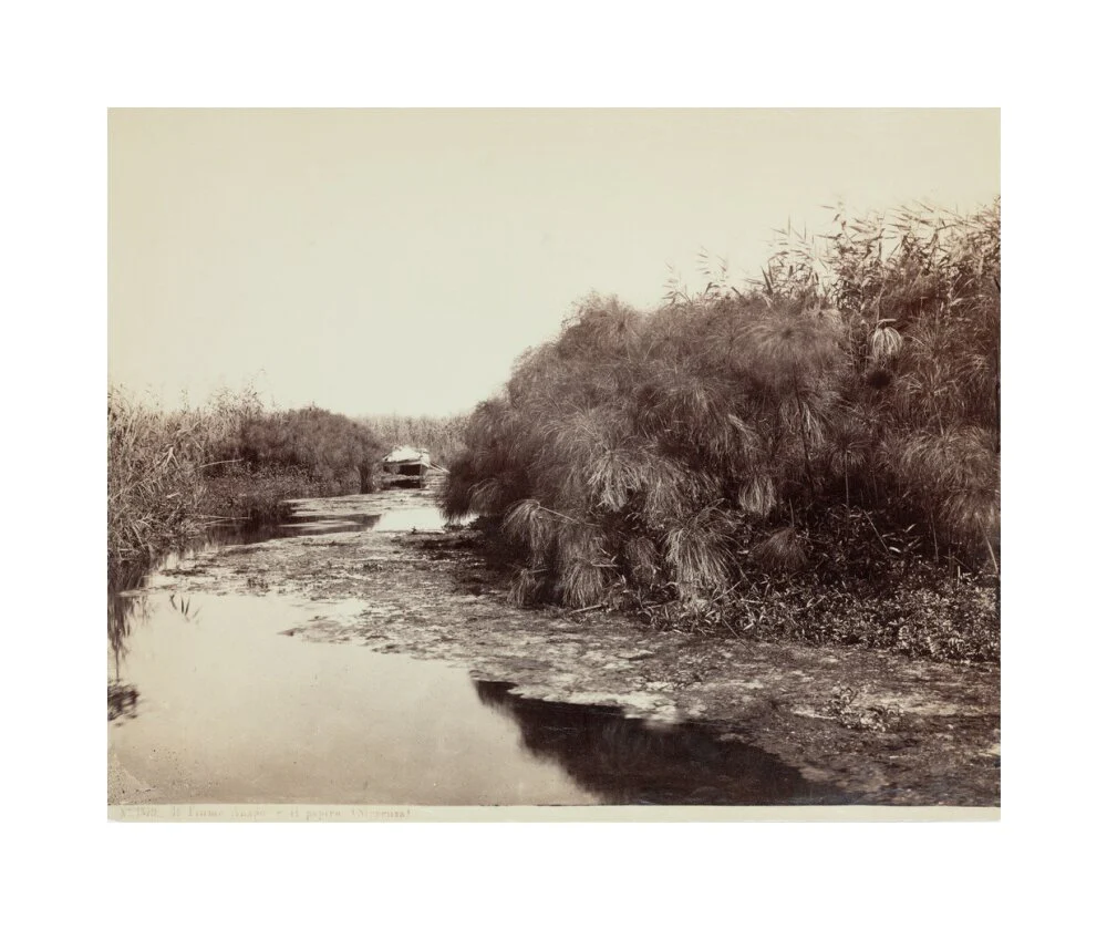 'The River Anapo and Papyrus', Syracuse, Sicily, Italy, c 1850-1900. - Image 61