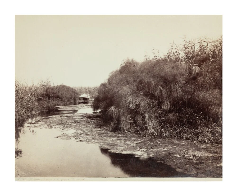 'The River Anapo and Papyrus', Syracuse, Sicily, Italy, c 1850-1900. - Image 63
