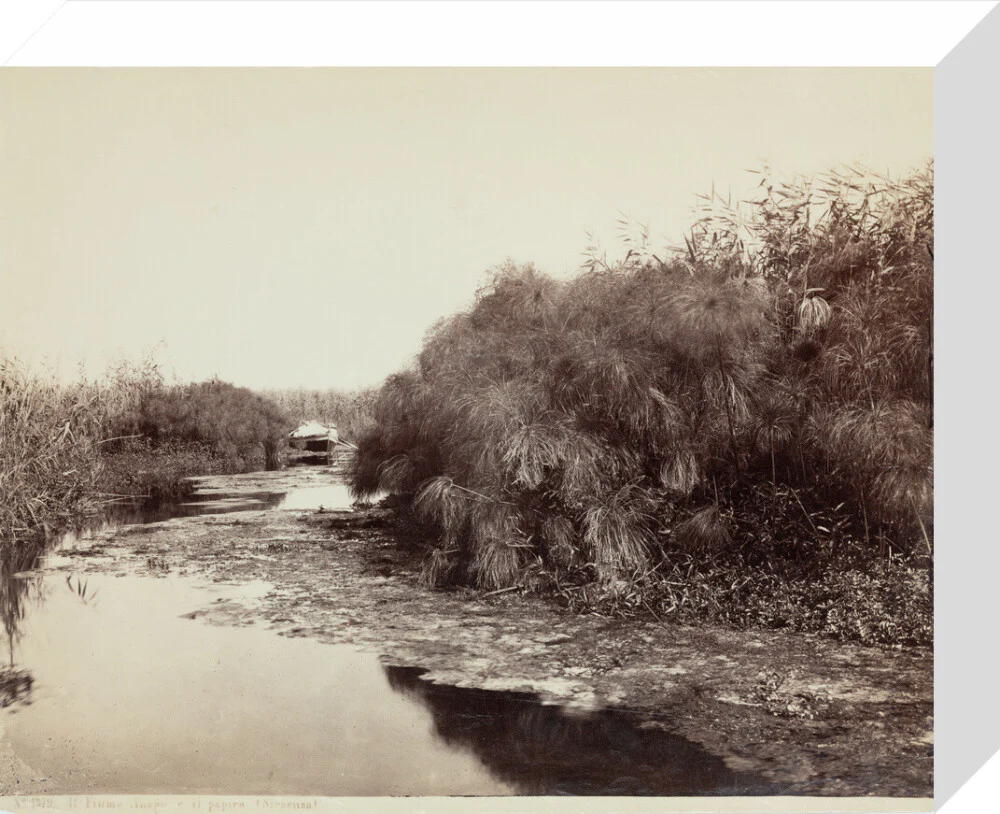 'The River Anapo and Papyrus', Syracuse, Sicily, Italy, c 1850-1900. - Image 64