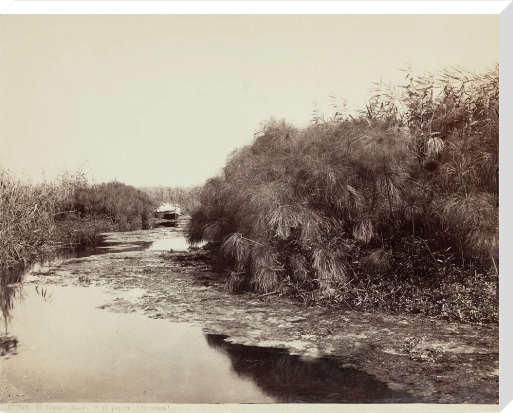 'The River Anapo and Papyrus', Syracuse, Sicily, Italy, c 1850-1900. - Image 67