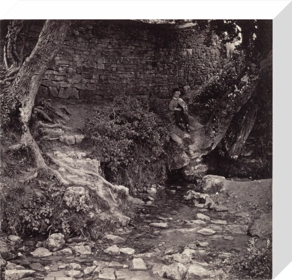 'Seven Springs, source of the Thames near Cheltenham', c 1850-1900. - Image 64