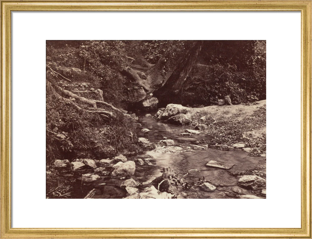 'Seven Springs, source of the Thames near Cheltenham', c 1850-1900. - Image 15