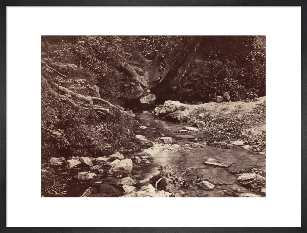 'Seven Springs, source of the Thames near Cheltenham', c 1850-1900. - Image 51