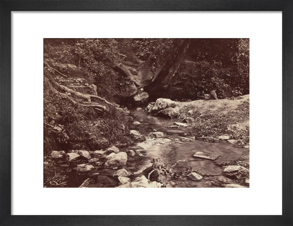 'Seven Springs, source of the Thames near Cheltenham', c 1850-1900. - Image 8