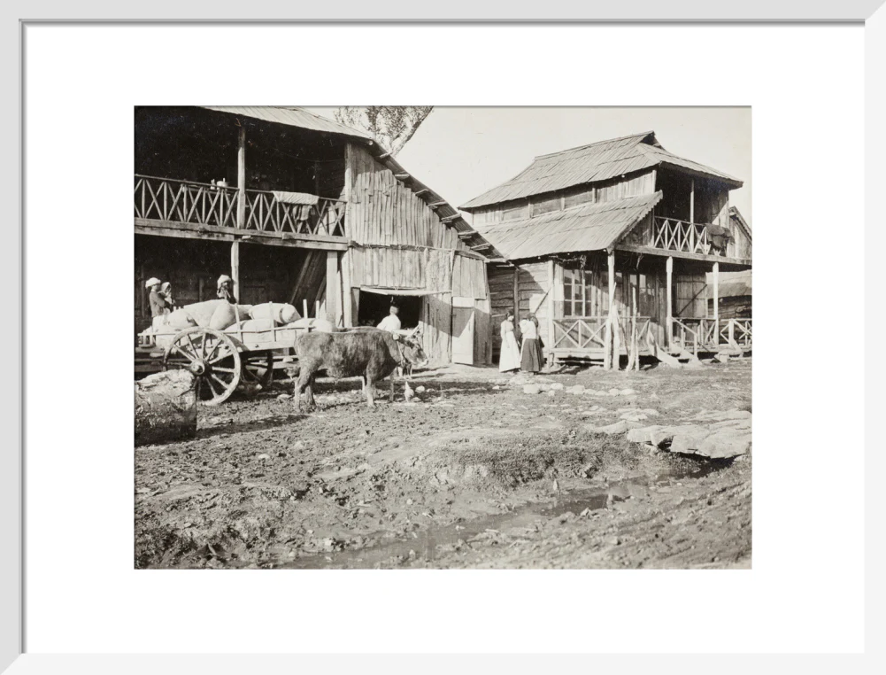 Black and white photograph entitled 'Typical Caucasian Houses' - Image 14