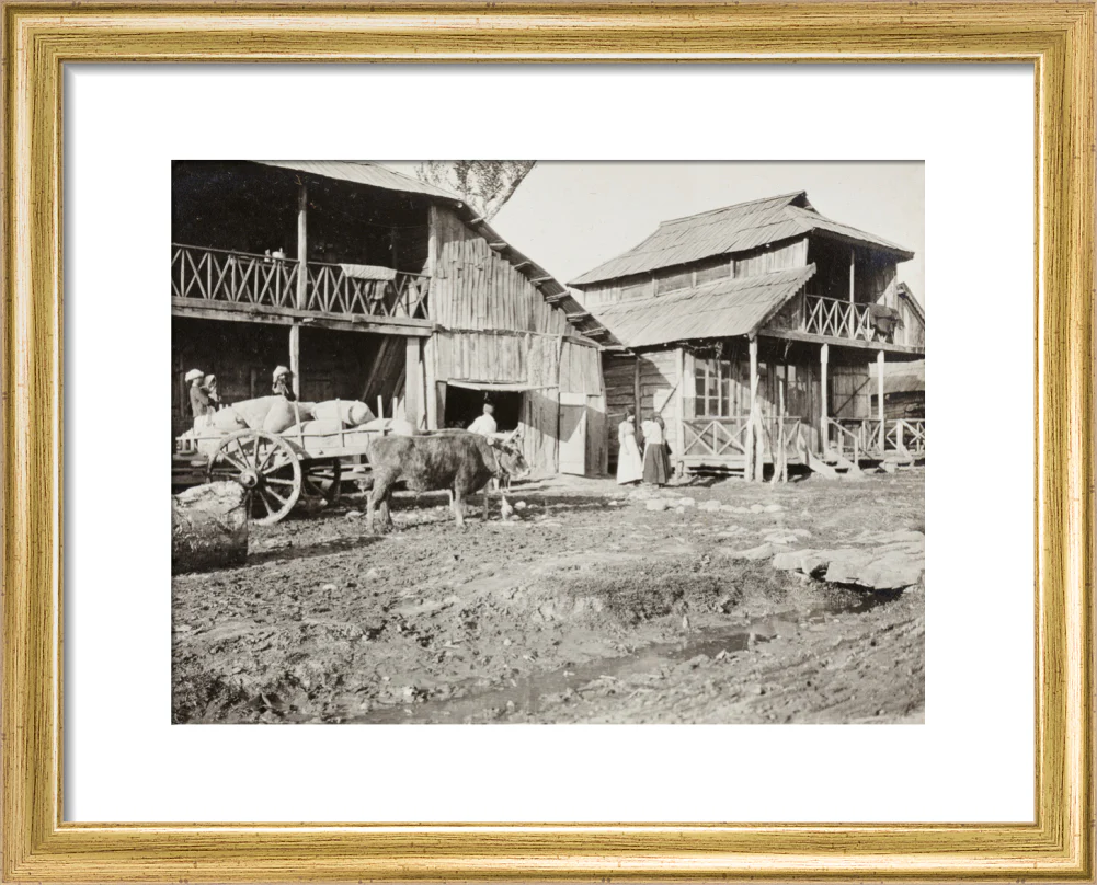 Black and white photograph entitled 'Typical Caucasian Houses' - Image 5