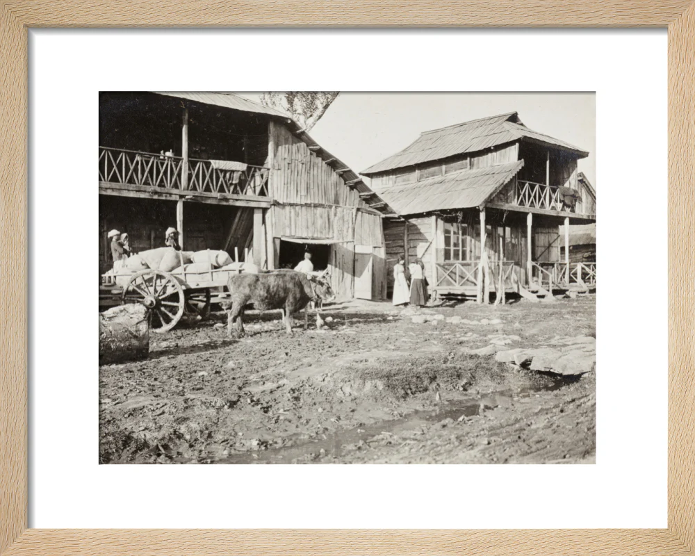 Black and white photograph entitled 'Typical Caucasian Houses' - Image 6