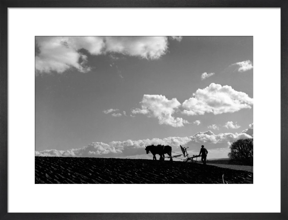 Farmer tilling a field with a horse-drawn plough, c 1920s. - Image 13