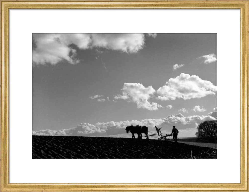 Farmer tilling a field with a horse-drawn plough, c 1920s. - Image 15