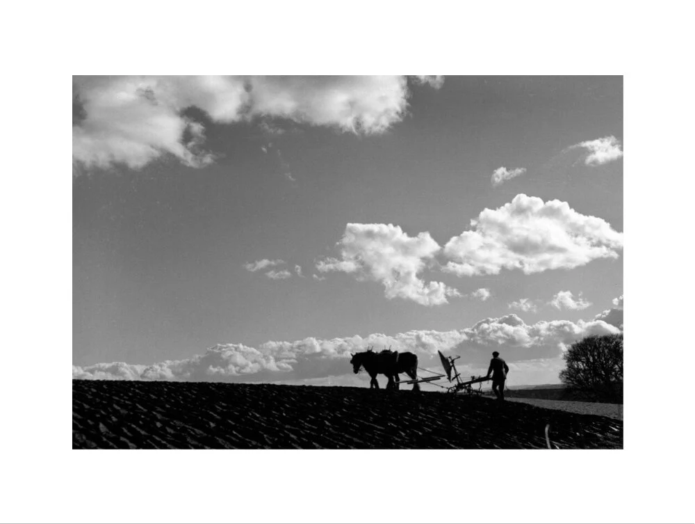 Farmer tilling a field with a horse-drawn plough, c 1920s. - Image 22