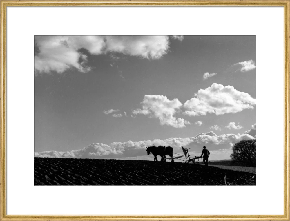 Farmer tilling a field with a horse-drawn plough, c 1920s. - Image 25