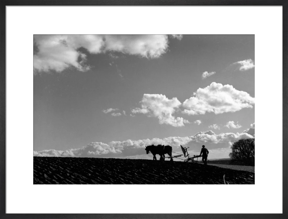 Farmer tilling a field with a horse-drawn plough, c 1920s. - Image 51