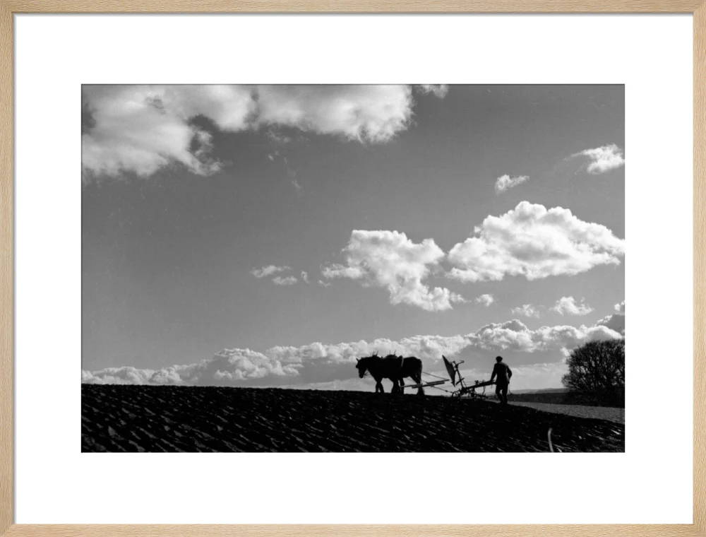 Farmer tilling a field with a horse-drawn plough, c 1920s. - Image 54