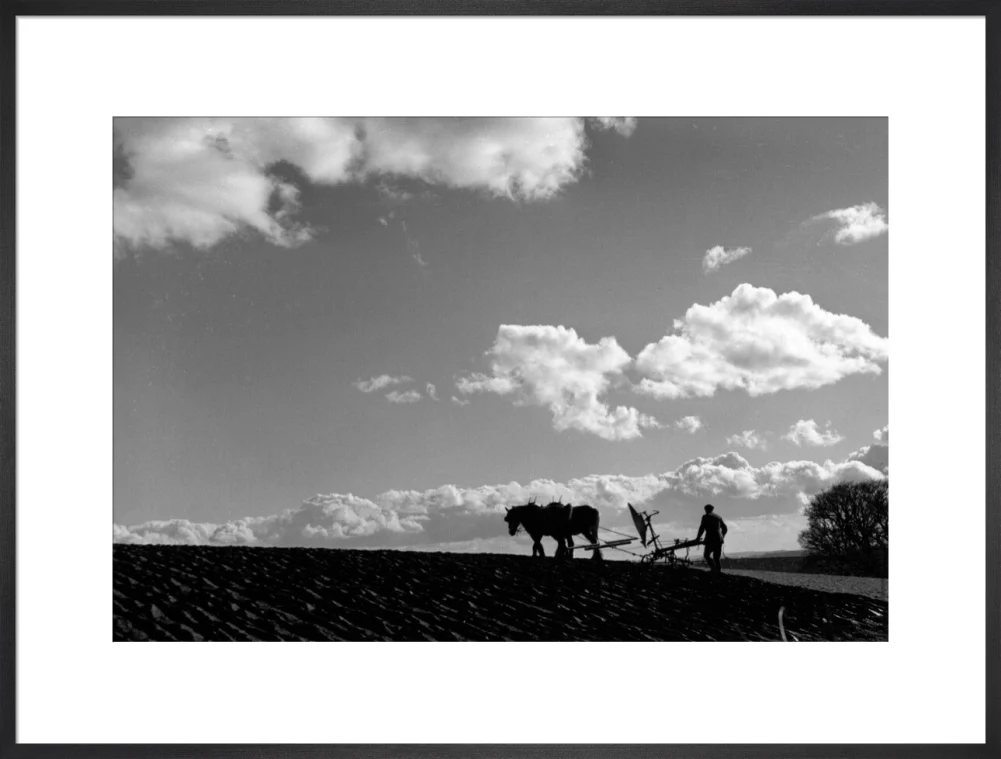 Farmer tilling a field with a horse-drawn plough, c 1920s. - Image 56