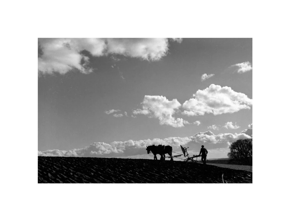 Farmer tilling a field with a horse-drawn plough, c 1920s. - Image 60