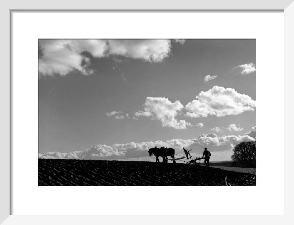 Farmer tilling a field with a horse-drawn plough, c 1920s. - Image 9