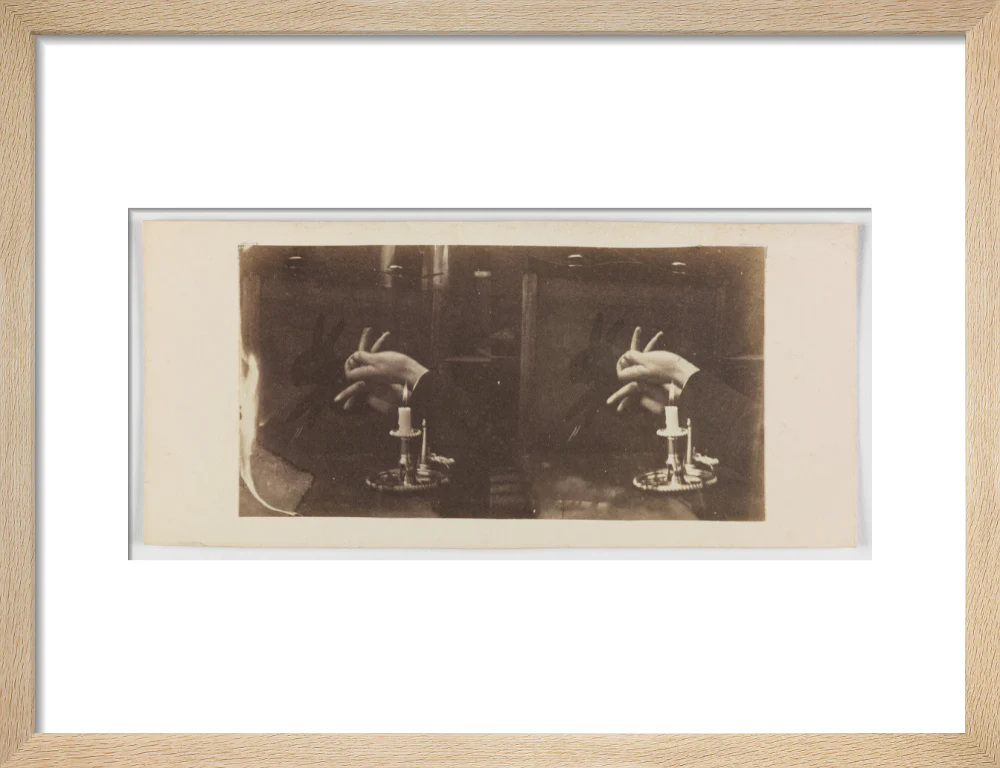 Shadowgraph of a rabbit by candlelight - Image 11