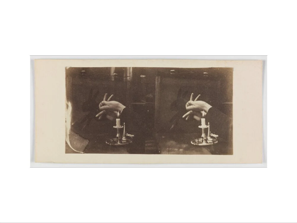 Shadowgraph of a rabbit by candlelight - Image 12