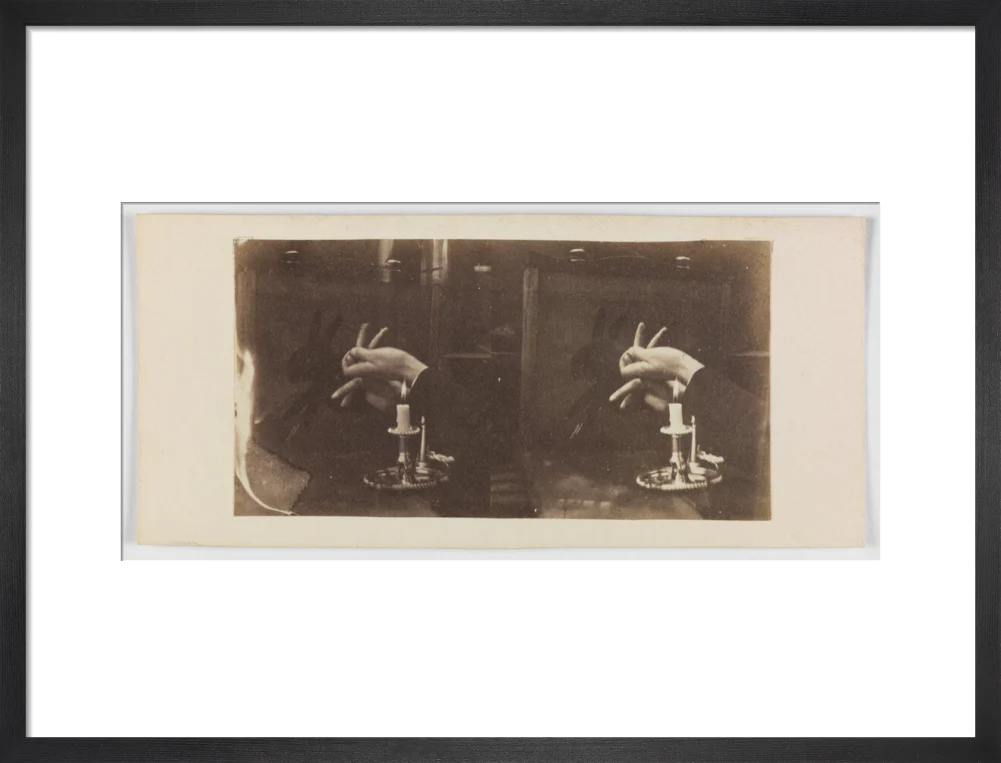 Shadowgraph of a rabbit by candlelight - Image 13