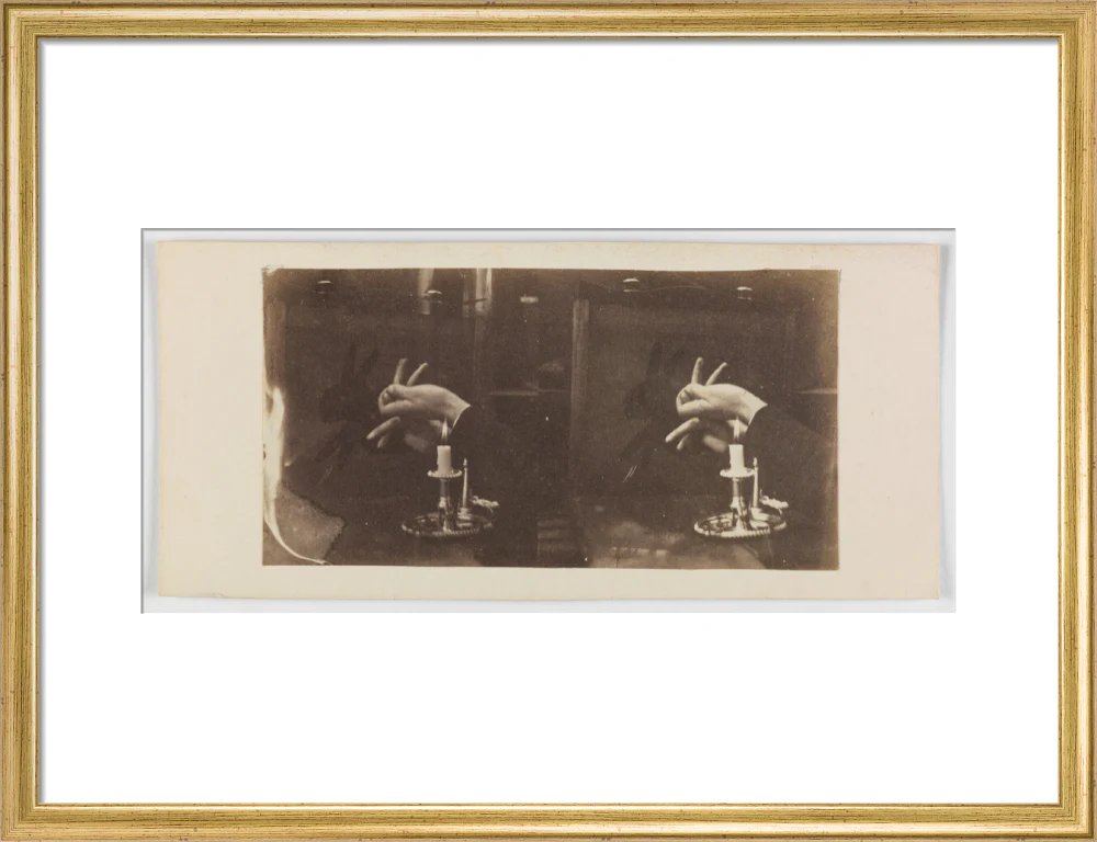 Shadowgraph of a rabbit by candlelight - Image 15
