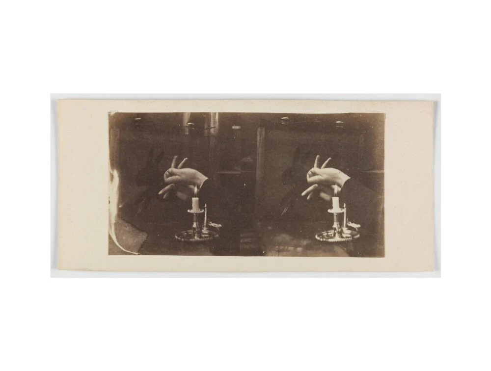 Shadowgraph of a rabbit by candlelight - Image 17