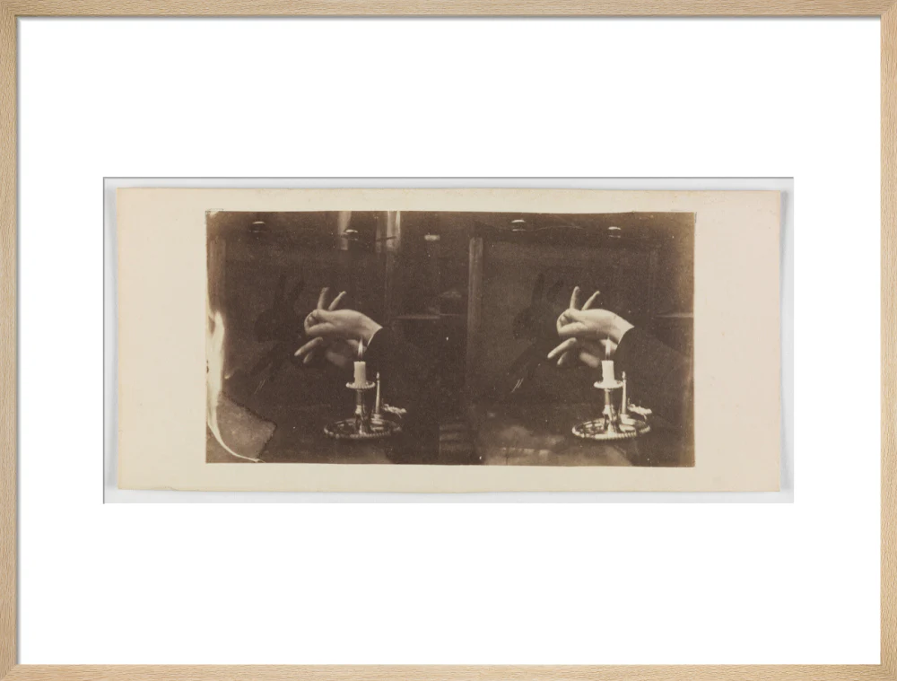 Shadowgraph of a rabbit by candlelight - Image 21