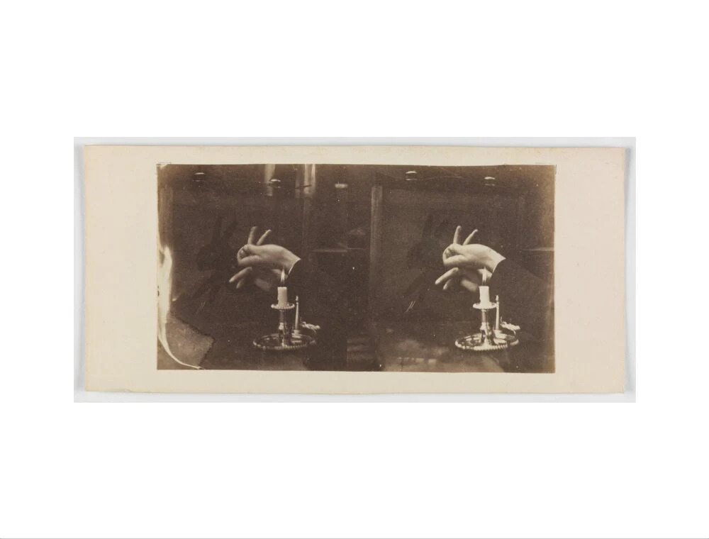 Shadowgraph of a rabbit by candlelight - Image 22