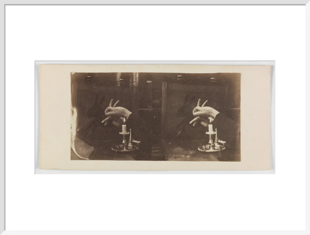 Shadowgraph of a rabbit by candlelight - Image 24