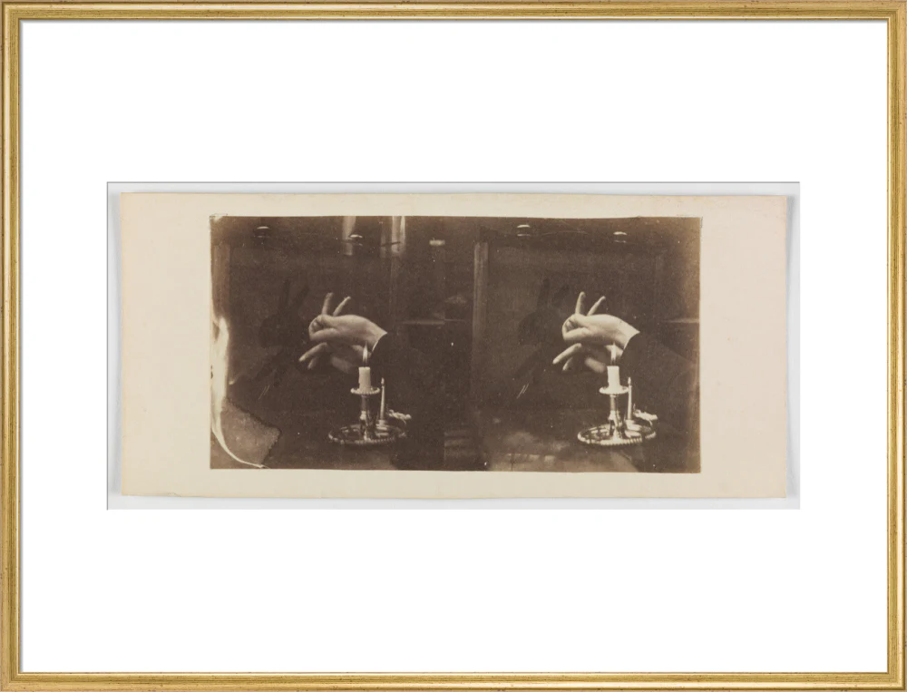 Shadowgraph of a rabbit by candlelight - Image 25