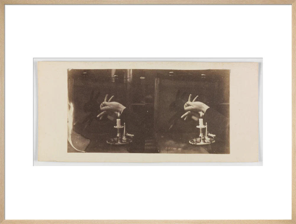 Shadowgraph of a rabbit by candlelight - Image 26