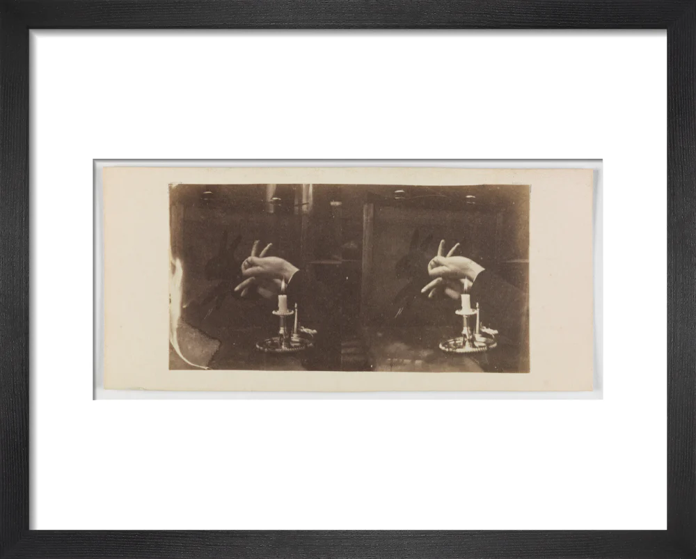 Shadowgraph of a rabbit by candlelight - Image 3