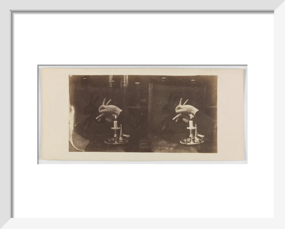 Shadowgraph of a rabbit by candlelight - Image 4
