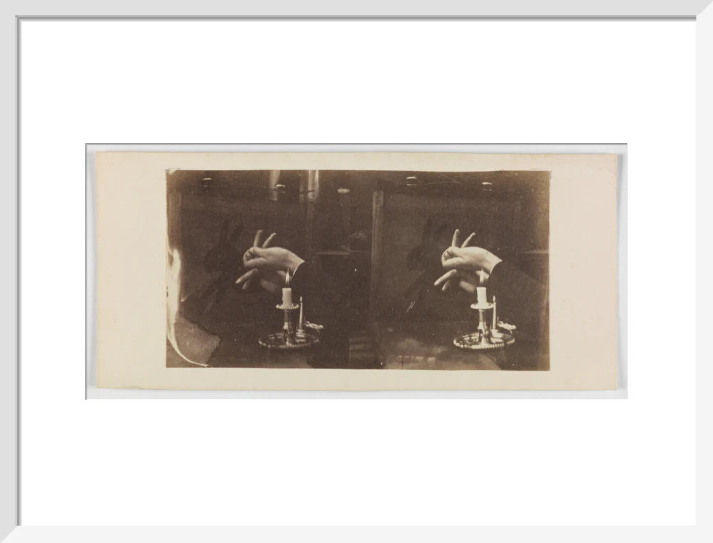 Shadowgraph of a rabbit by candlelight - Image 47