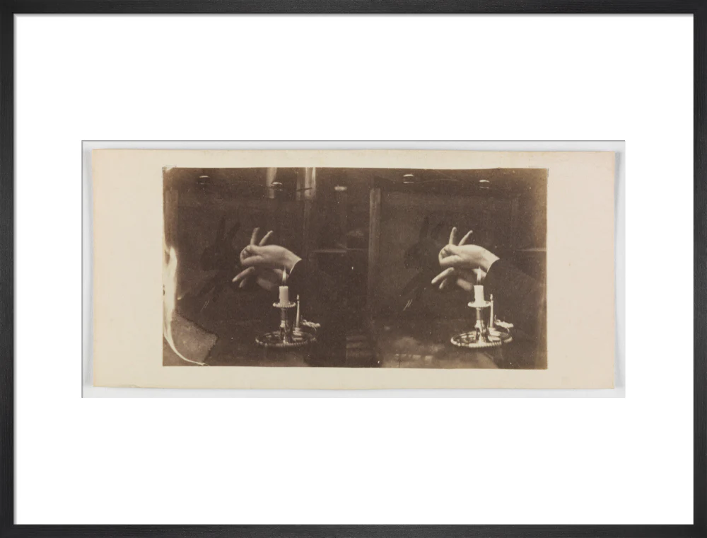 Shadowgraph of a rabbit by candlelight - Image 51