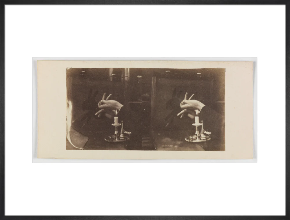 Shadowgraph of a rabbit by candlelight - Image 56