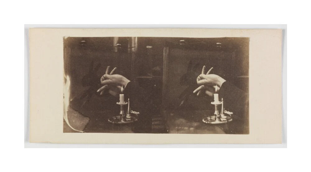 Shadowgraph of a rabbit by candlelight - Image 62